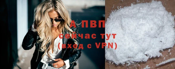 стафф Баксан